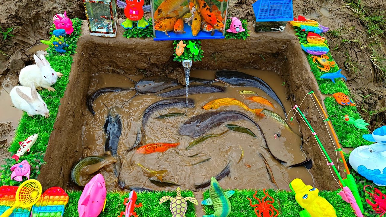 Ловля карпа, декоративной рыбы, сома, бойцовой рыбки, лобстера, утки, птицы, кролика, курицы.part404