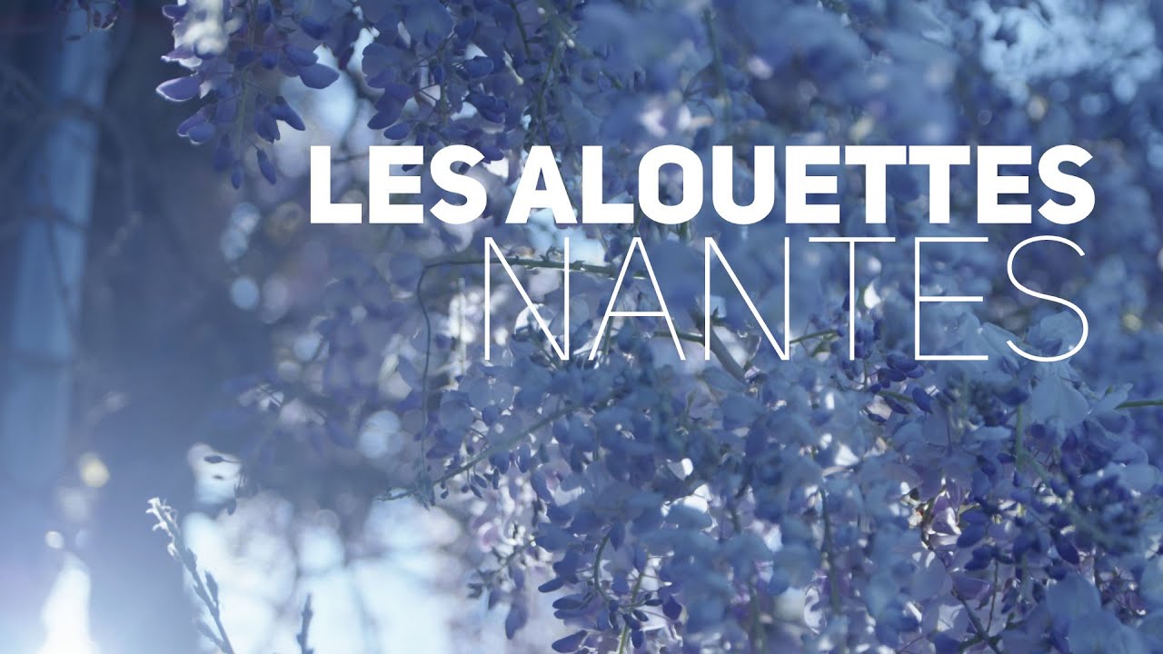 Les Alouettes
