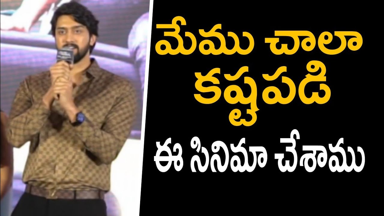 Hero Niranjan Speech at Seetha Payanam (Telugu) Pre-Release Event #teatimetelugu