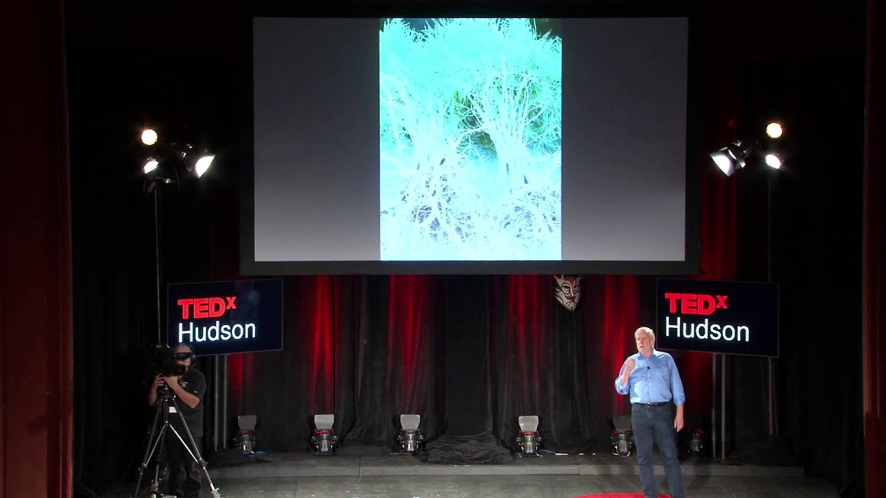 Black currants -- the forbidden fruit | Greg Quinn | TEDxHudson