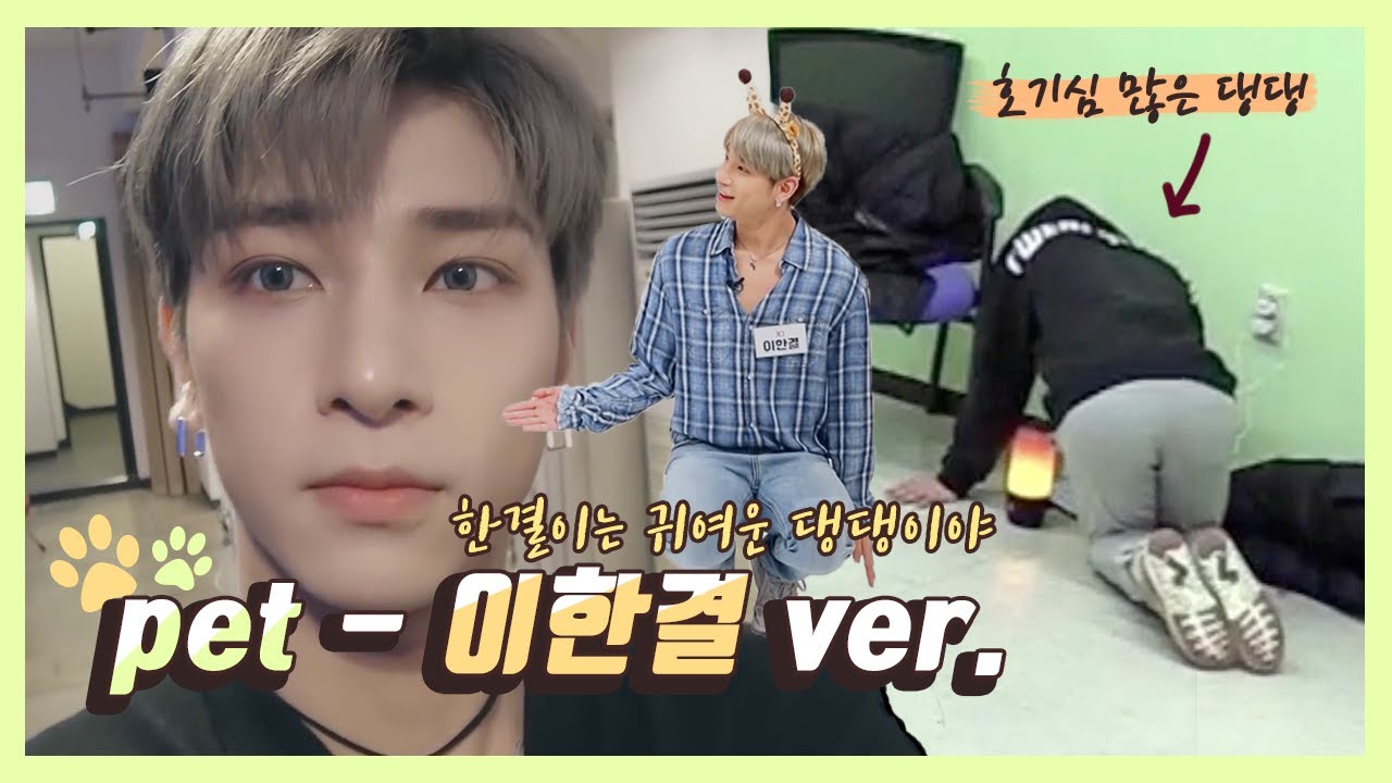 fmv Pet Hangyul ver. 이한결 귀여운 순간 모음 Hangyul cute moment かわいい ハンギョル