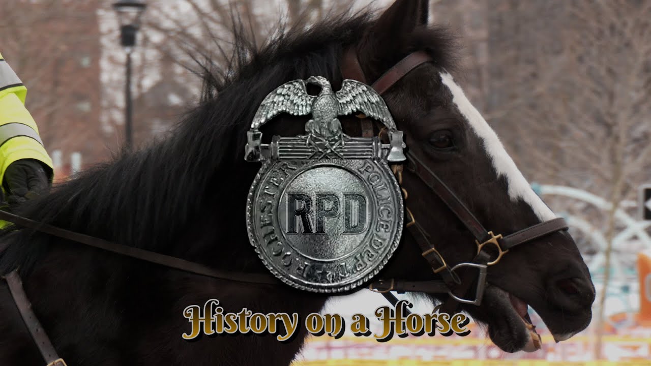 History on a Horse #1