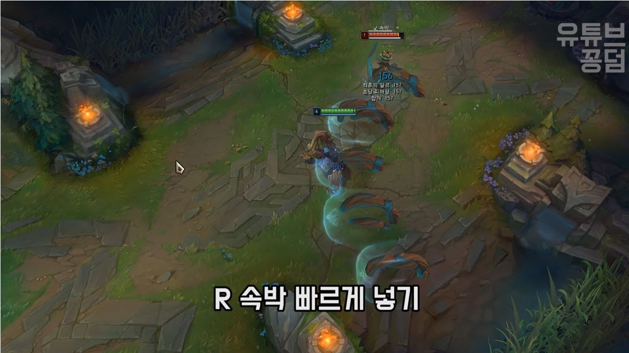 1분 챔피언 필수상식 - 마오카이 편