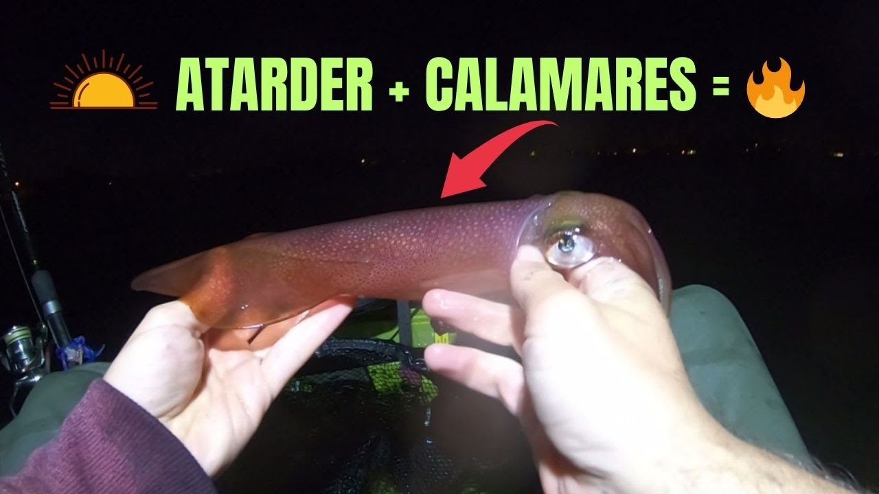 KAYAK + Atardecer = Pesca ÉPICA de SEPIAS y CALAMARES