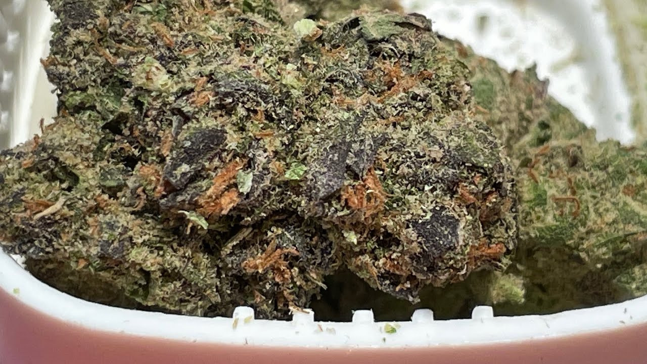 Purple chem seven hills