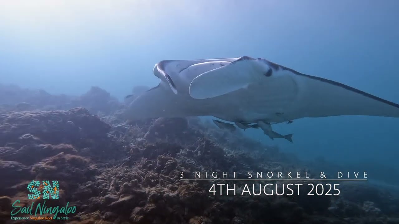 4th August 2025 Highlight Reel