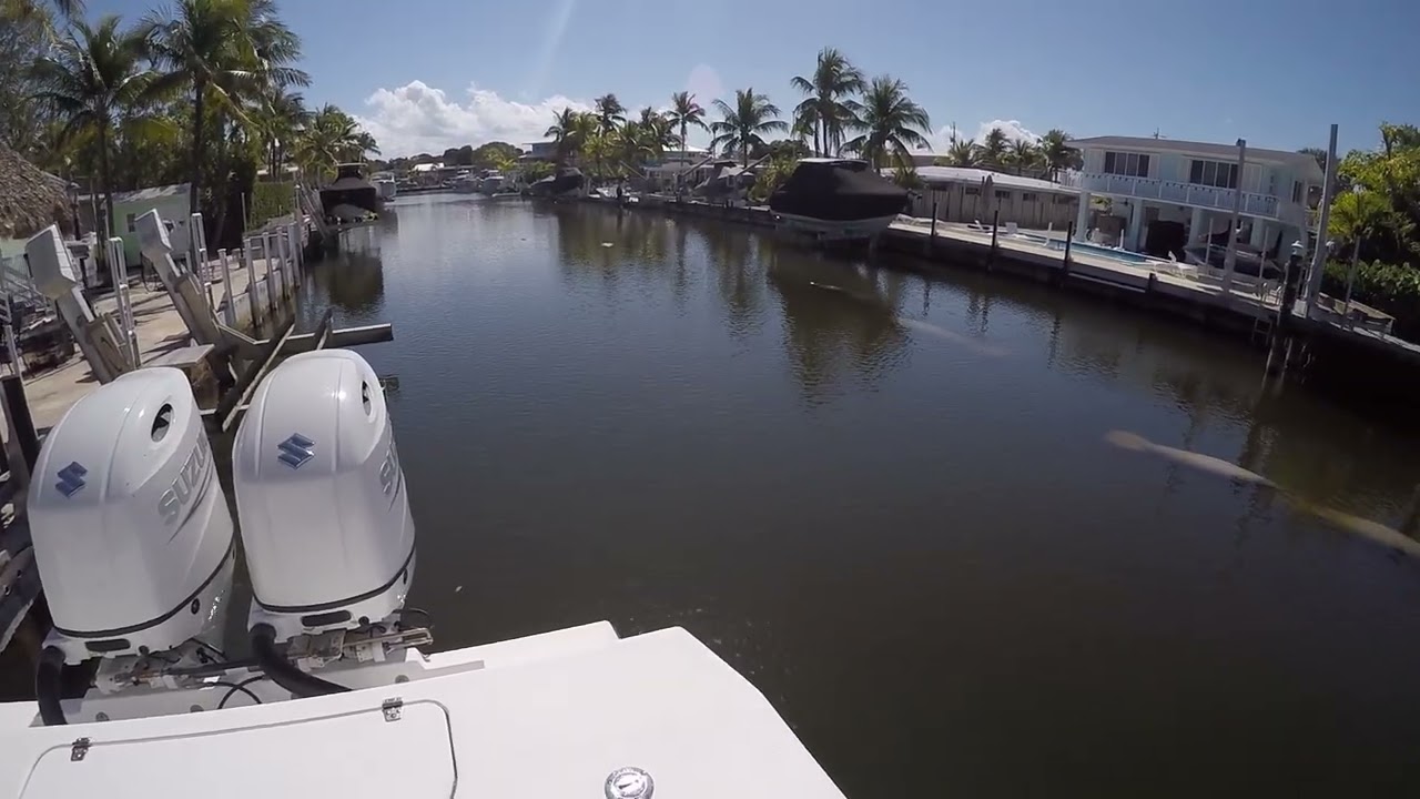 Manatees
