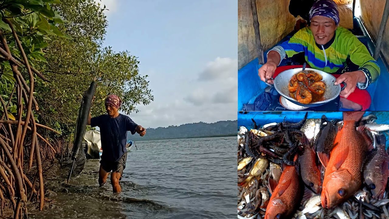 Pasang Perangkap Dapat Kakap Moster Dan Udang Besar Langsung Masak Udang Kecap
