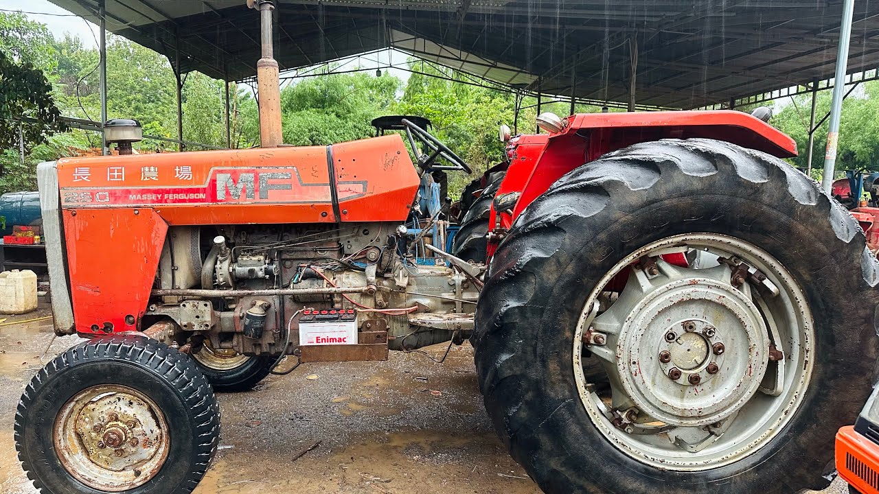 Massey Ferguson MF290 80HP 4 máy có mâm tạ. Ae quan tâm LH 0878.305.986 | Cô Ba Máy Cày