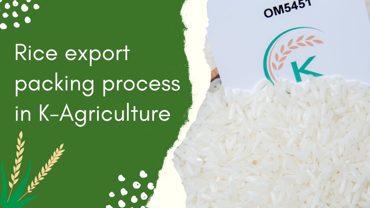 Rice export packing process in K-Agriculture Factory