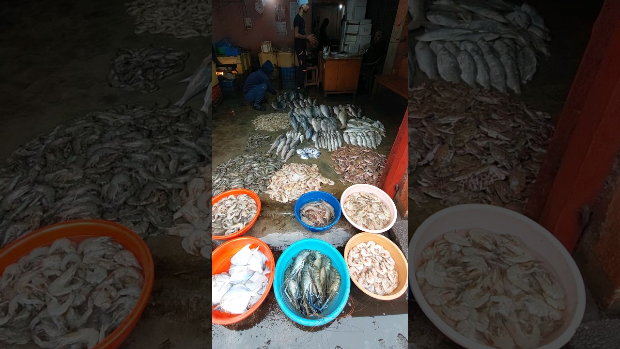 Paradip Fish Market 