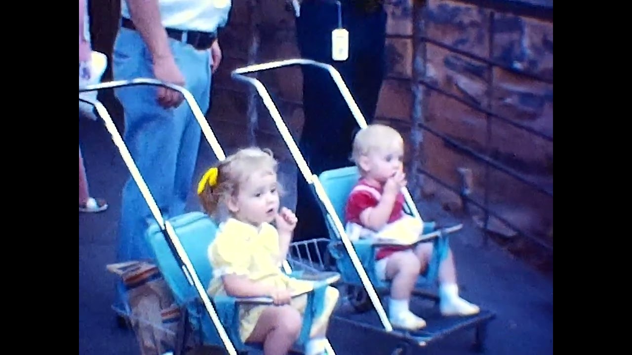 1980 disney land