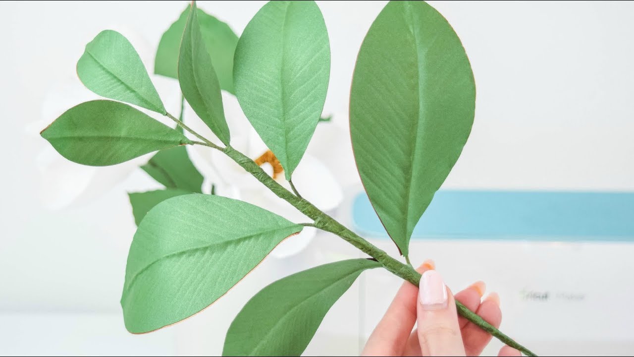 How to Make Double-sided Paper Magnolia Leaves