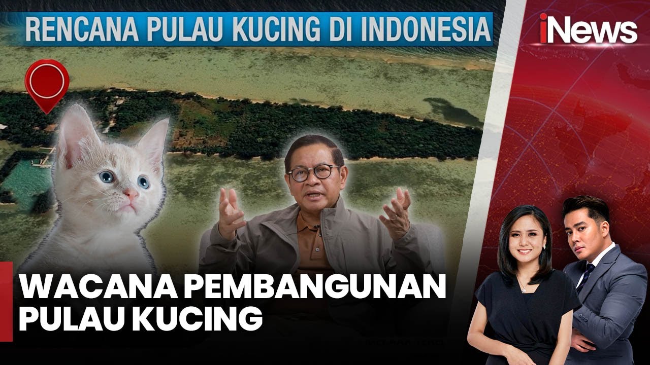 Gubernur Jakarta Berencana Buat Pulau Kucing | iNews Siang | 31/05