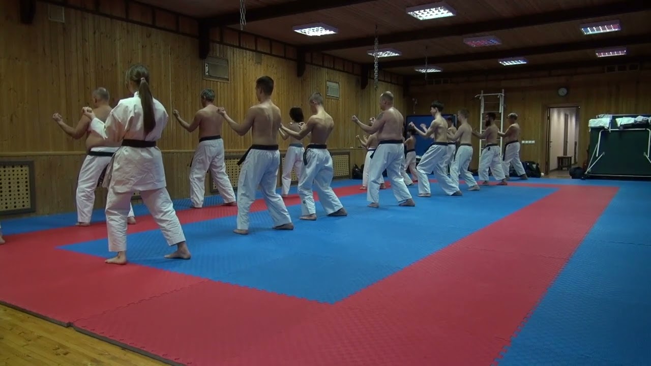 Санчин 4