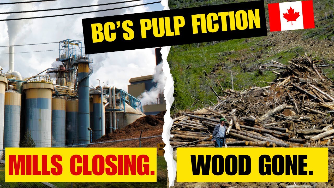 Why BC’s Pulp Mills Are Failing (And It’s Not What You’re Told) - Crofton won't be the last to fall