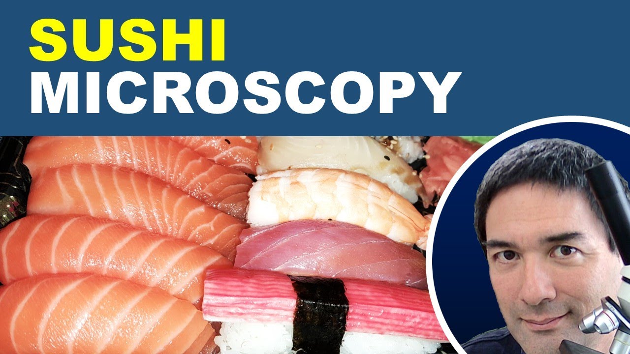 🔬 I Will put SUSHI under the Microscope. Really.