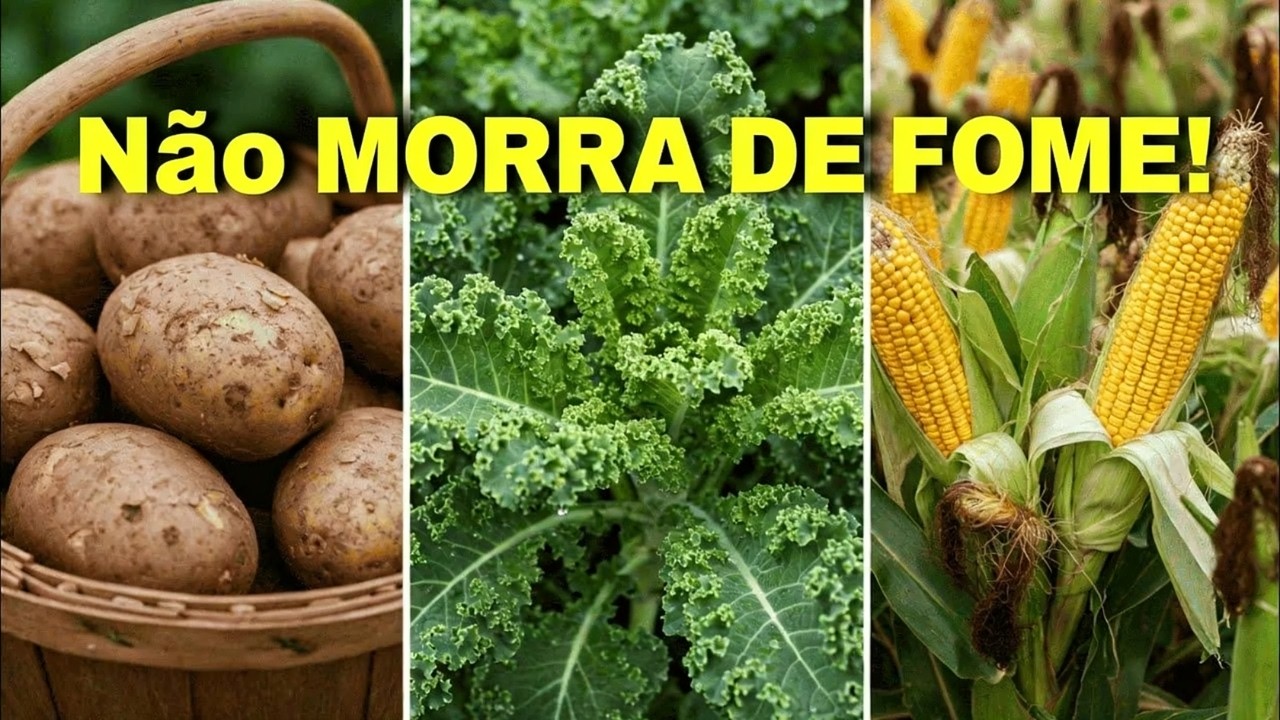 As 7 Principais Culturas de Horta de Sobrevivência para Plantar Que Vão Te Salvar de MORRER DE FOME