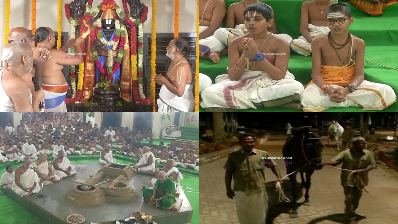 Sri Venkateswara Veda Vignana Peetham Dharmagiri Ankurarpana In Tirumala
