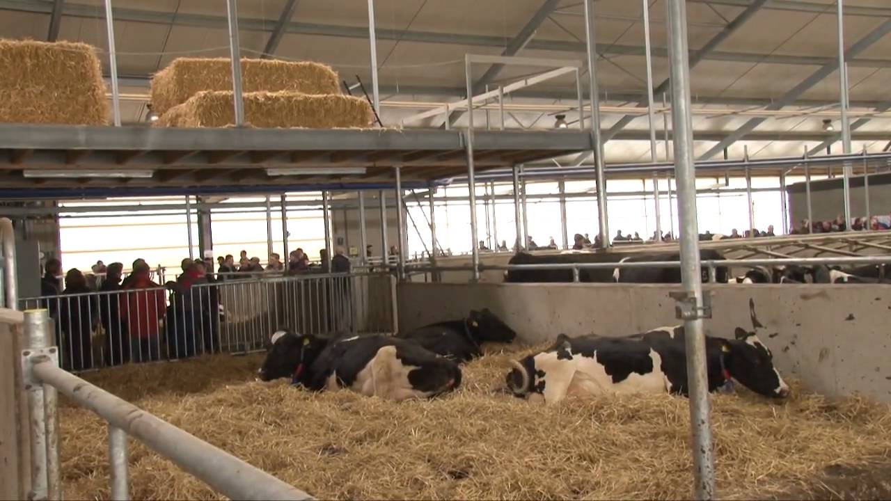Open dag bewaarplaats en melkveebedrijf te Dronten