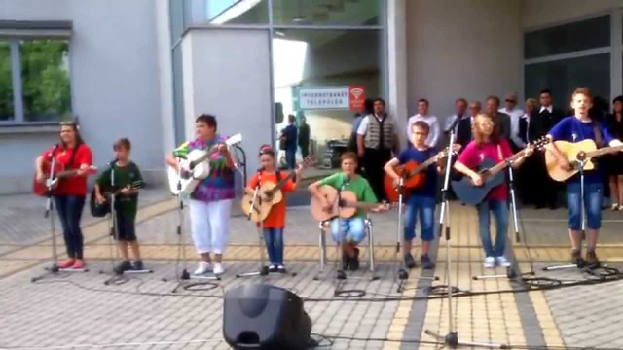 Csillagvirág - Magyar vagyok