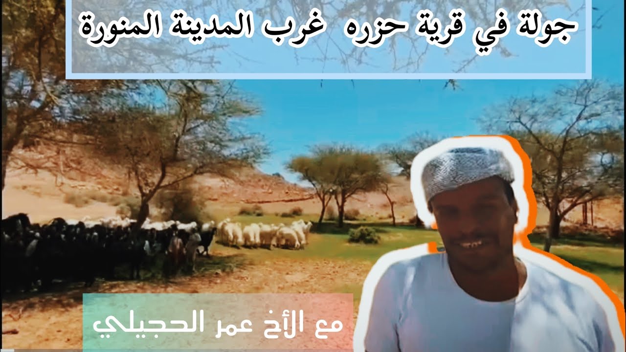 #جولة في قرية 🕌 حزره غرب #المدينة_المنورة مع عمر الحجيلي
