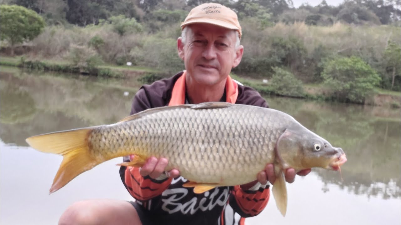 101: Magic SloLeak, carp bait giveaway. 
