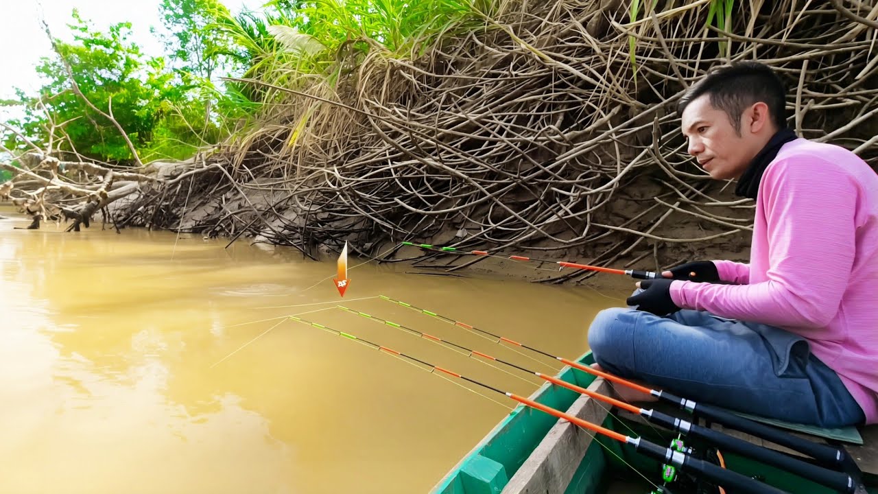 River fishing for prawns, fish and fire eels - Fishing videos