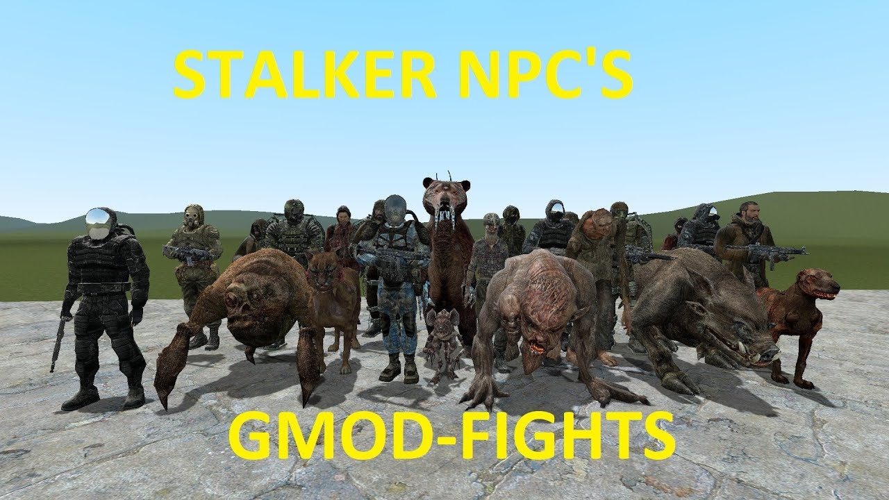 EPIC STALKER NPC'S - GMOD FIGHTS