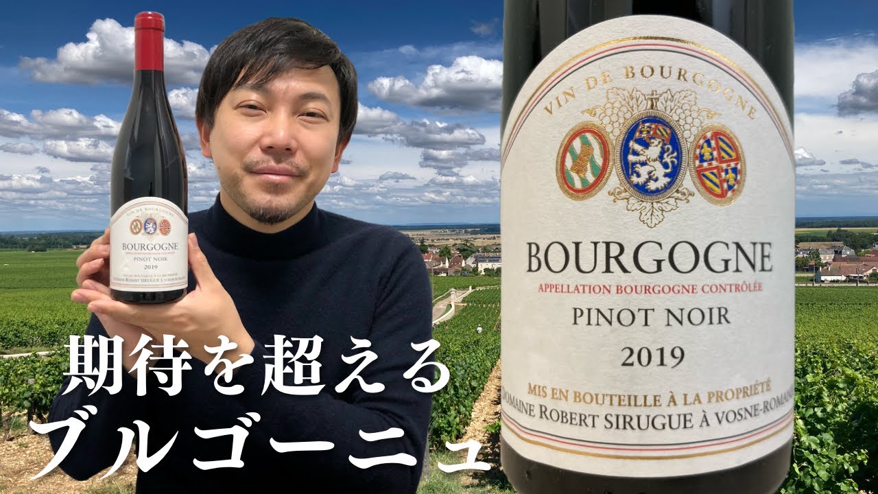 【フランス/赤ワイン】2019年のブルゴーニュ、やっぱり大好き！ゆきおとワイン539「Domaine Robert Sirugue Bourgogne Pinot Noir 2019」