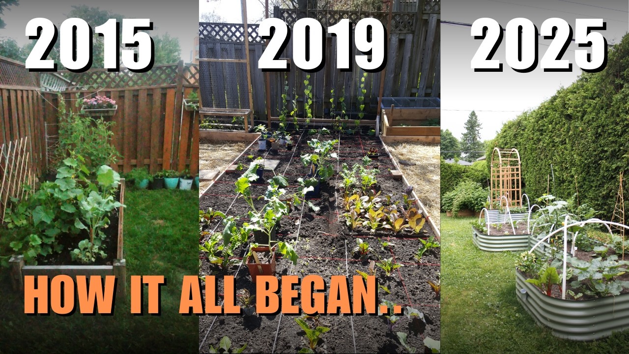 Behind the Scenes | How Gardening Came Into My Life |  Episode 1
