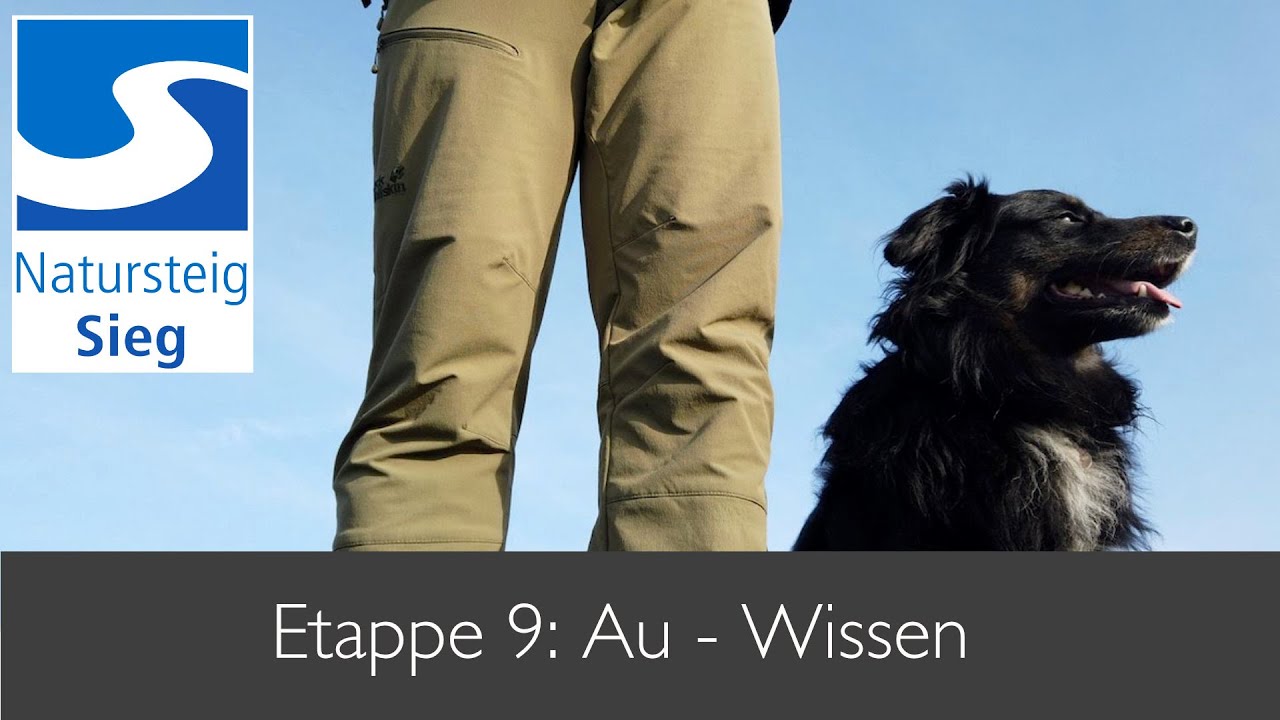 Natursteig Sieg mit Hund - Etappe 9: Von Au nach Wissen