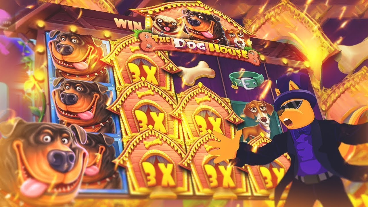 Roobet Redeem Code: LEPAJEE – Free Bonus & Big Wins