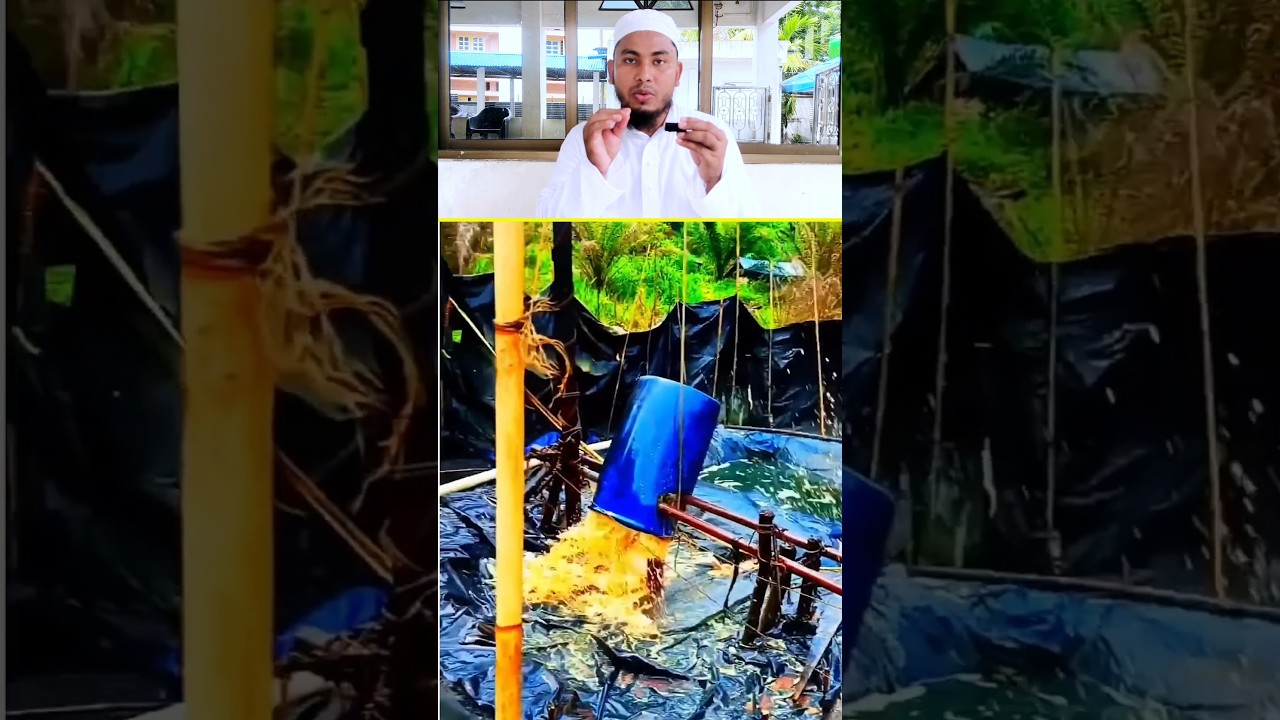 Garib Kisan Ke khet se nikala petrol 😍