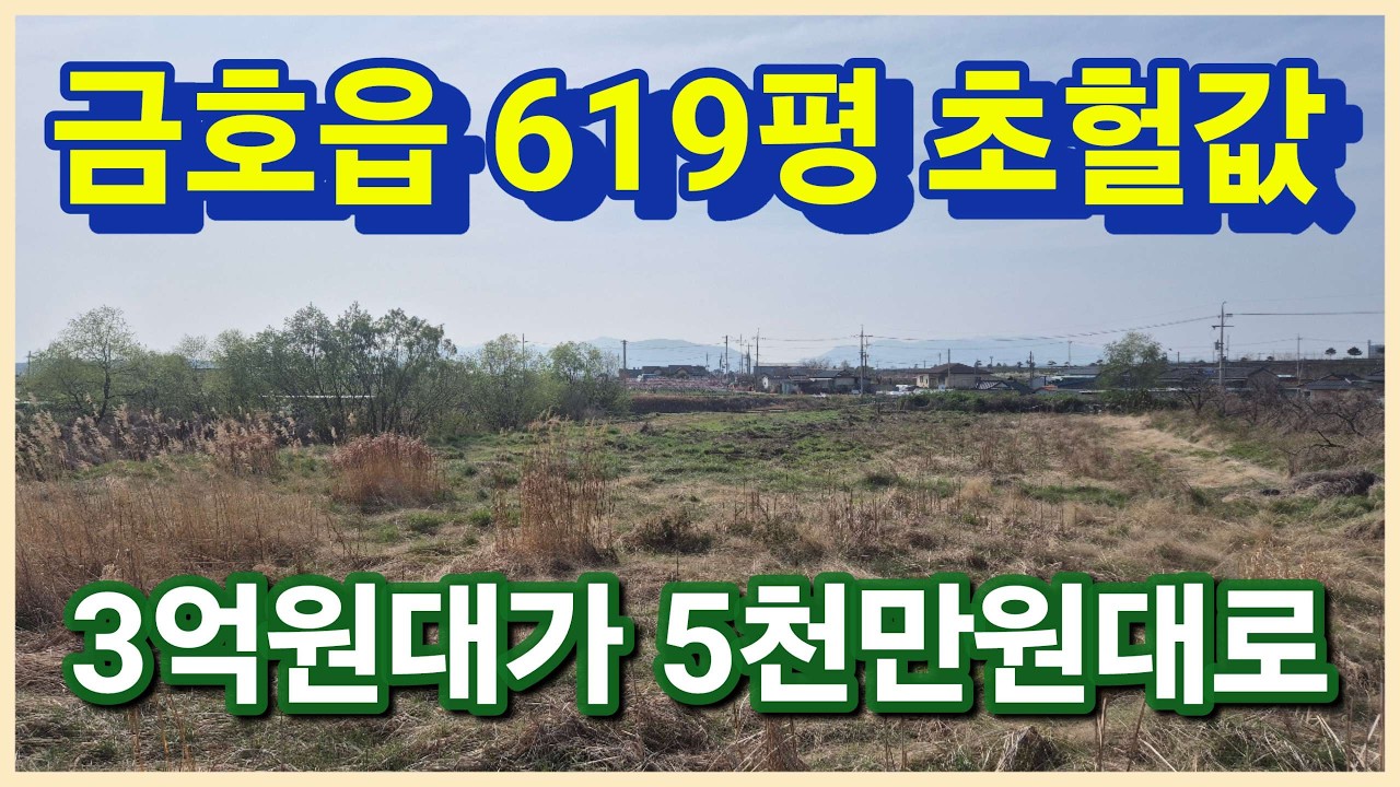 영천시 금호읍 5천만원대 619평 초헐값으로 법원경매 진행중인 영천땅 영천싼땅 가져가세요