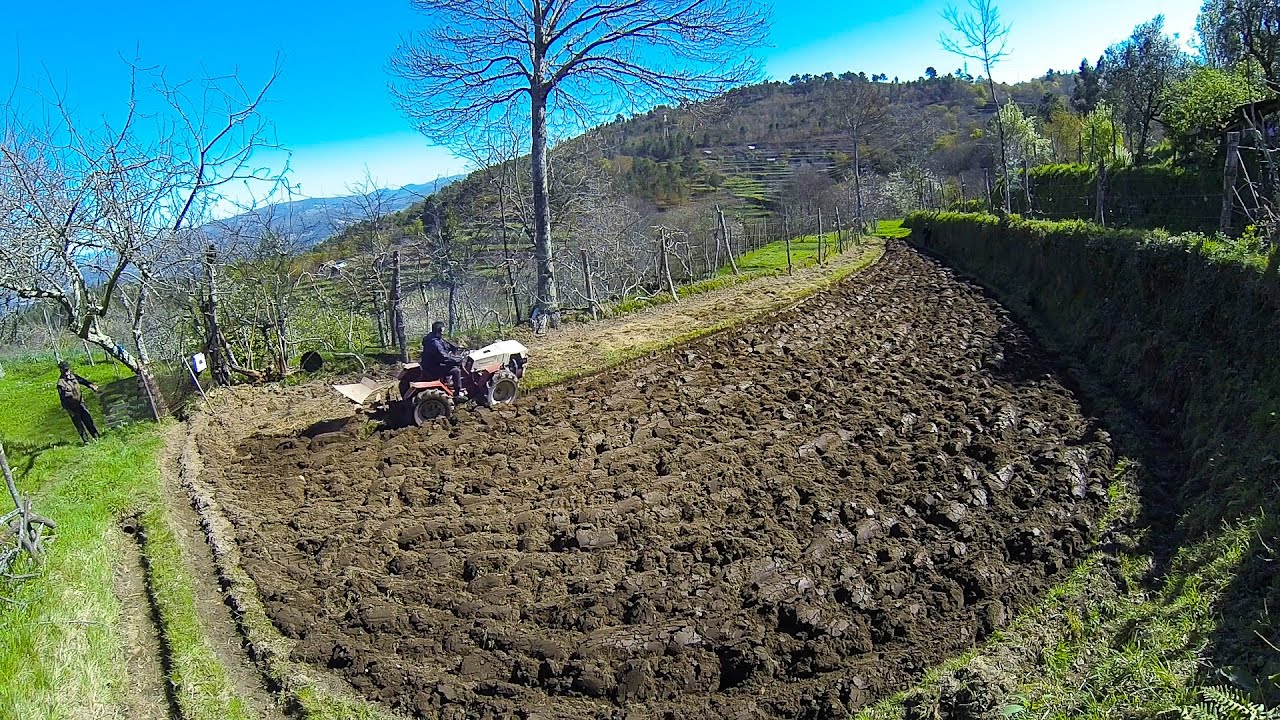 Preparar a terra para a horta / sementeira - Pasquali Tractor
