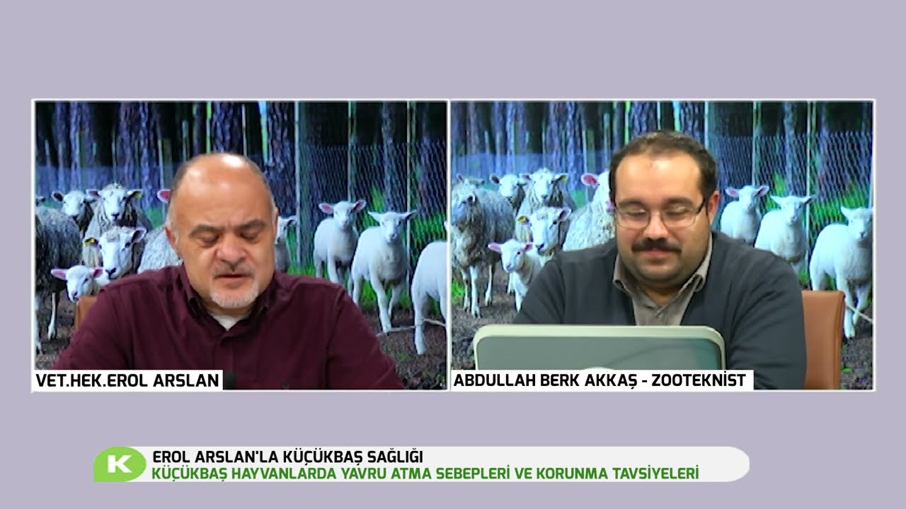 EROL ARSLAN'LA K&Uuml;&Ccedil;&Uuml;KBAŞ SAĞLIĞI | K&Uuml;&Ccedil;&Uuml;KBAŞ HAYVANLARDA YAVRU ATMA SEBEPLERİ VE KORUNMA TAVSİYELERİ