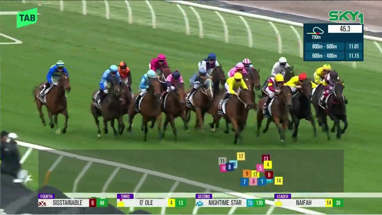 Red Roses Stakes 2025 - POINT BARROW (3YO Hcp G3 F) Group 3 Flemington 6 ноября