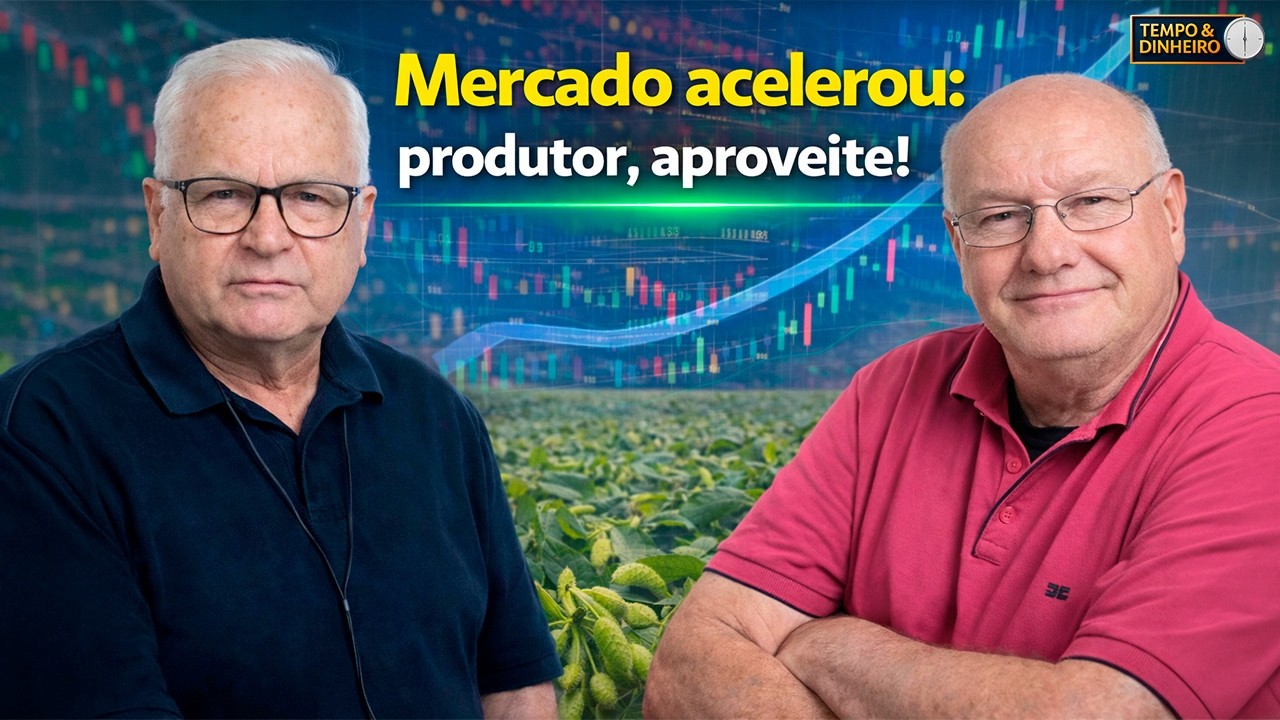 Soja em oportunidade: vender agora pode evitar perda de R$ 15,86/saca