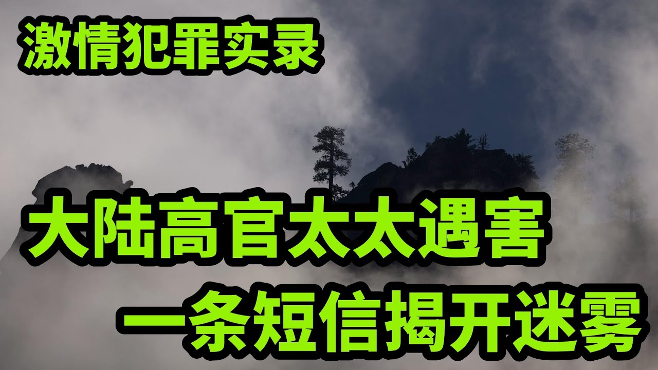 精品大案：大陆高官太太