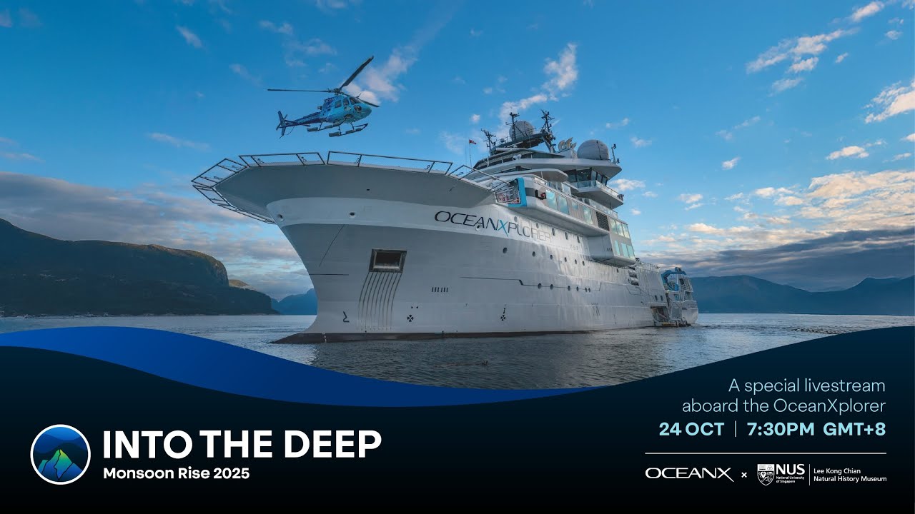 Live from the OceanXplorer: Behind the Scenes of a Real-Time Deep Sea Mission in the Indian Ocean
