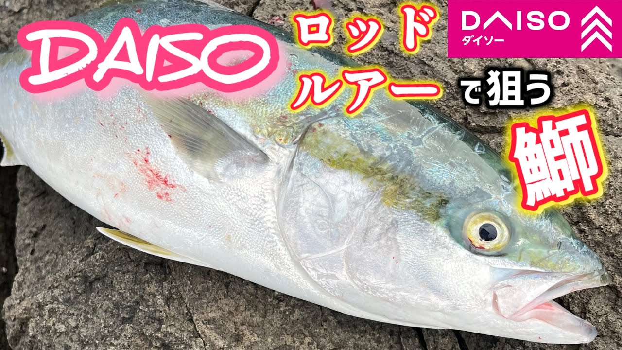 【ショアジギング】ブリを狙います🎣14  2025 