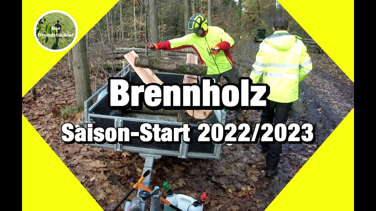 9 Festmeter - Start in die Brennholzsaison | Eiche vom Polter #1 | Brennholz selber machen