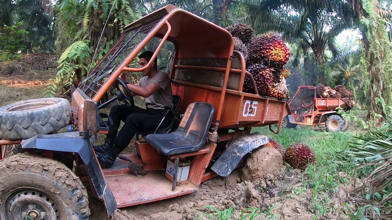 Niat Membantu Malah Nyusahin