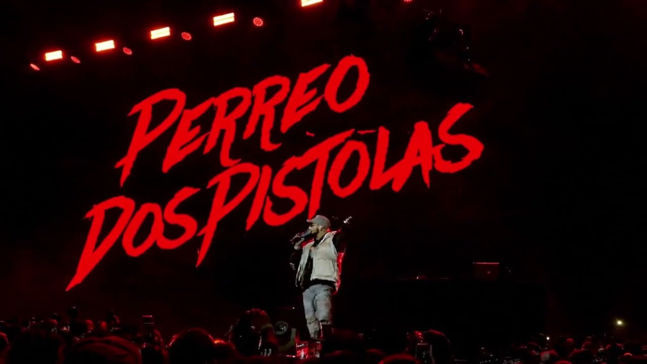 BRUNOODJ - PERREO DOS PISTOLAS (VIRALTIKTOK)