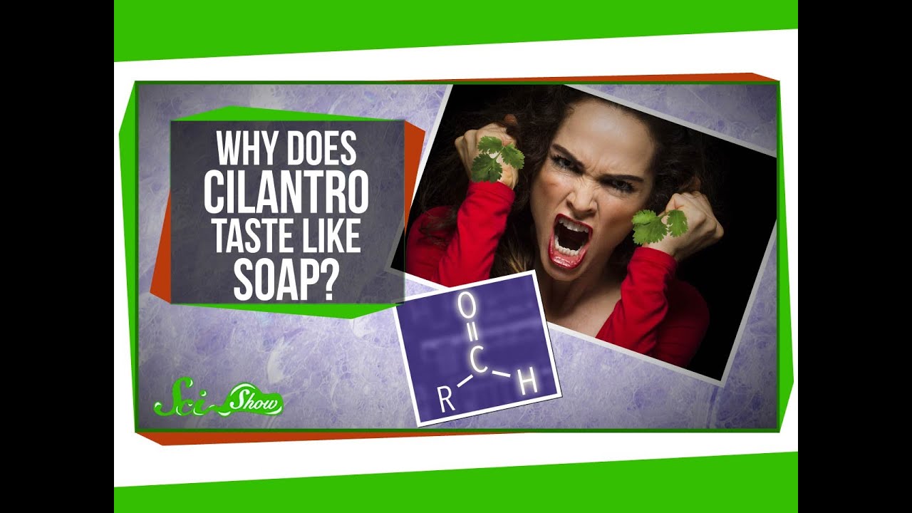 Why Does Cilantro Taste Like Soap?