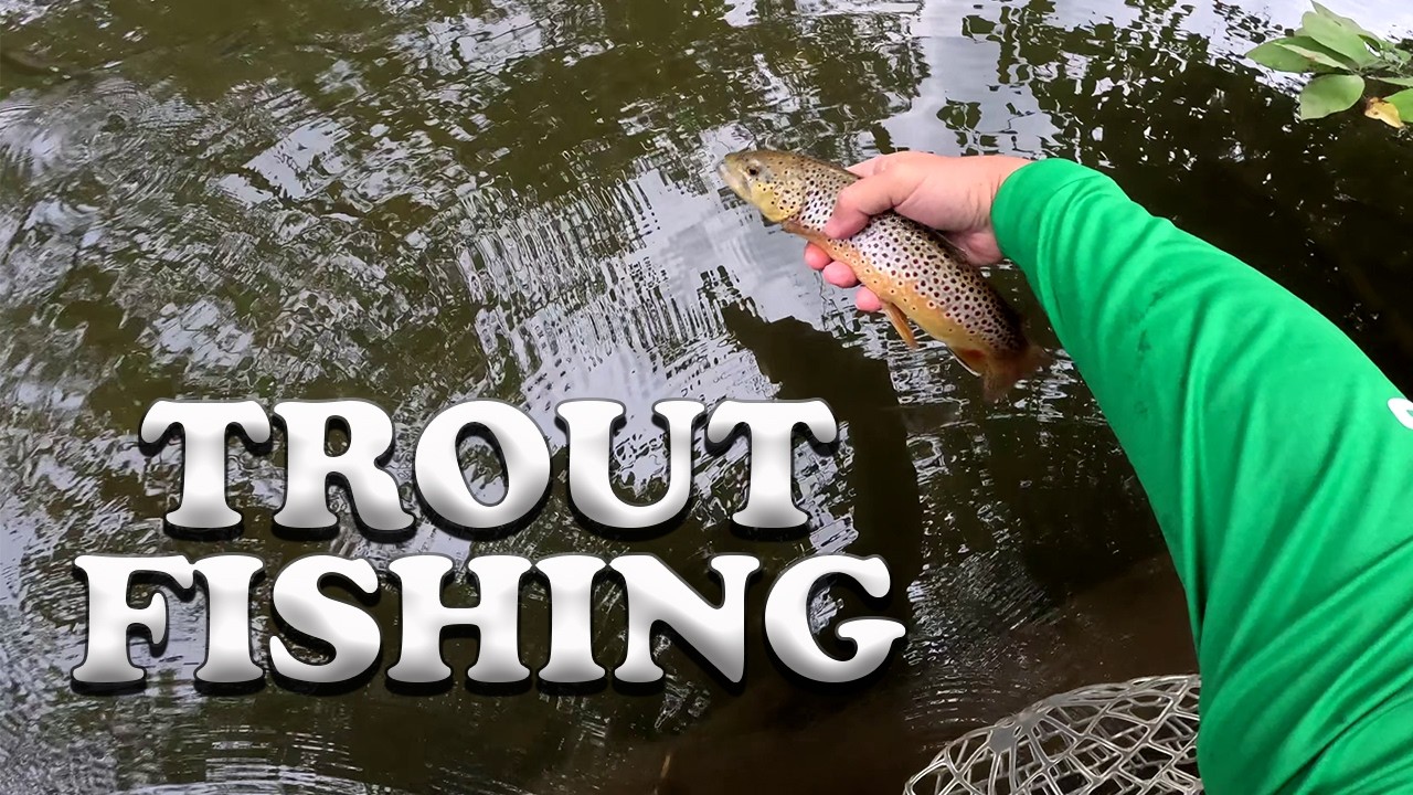 Trout Fishing a Famous Stream ... with a big surprise that could ruin this spot.