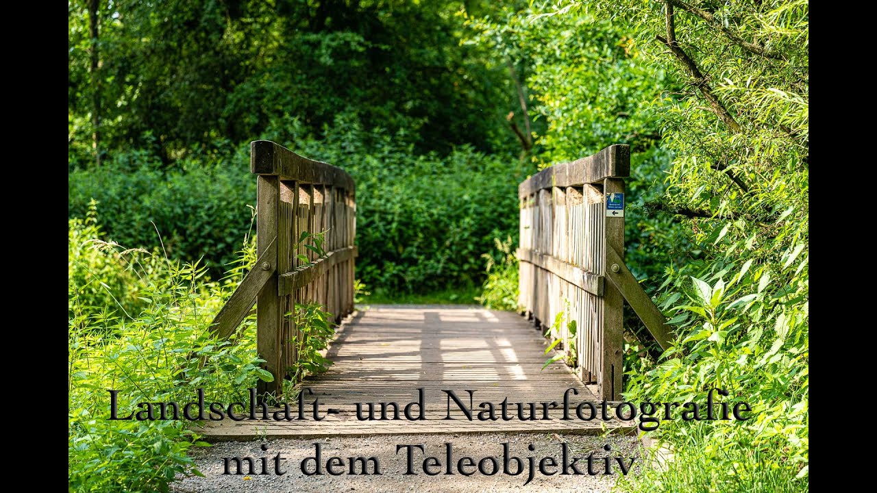 Landschaftsfotografie mit dem Teleobjektiv - Urdenbacher K&auml;mpe
