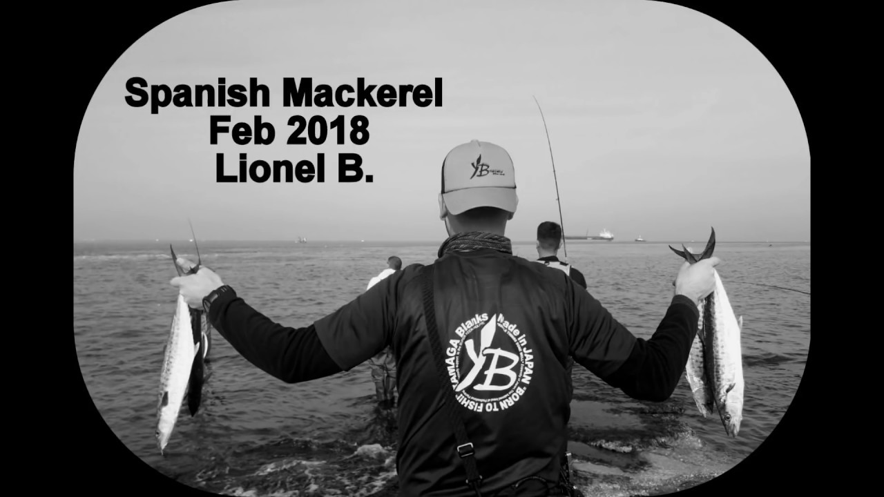 Spanish Mackerel Feb2018 - Yamaga Blanks - Ballistick TZ/Nano 94M - Israel