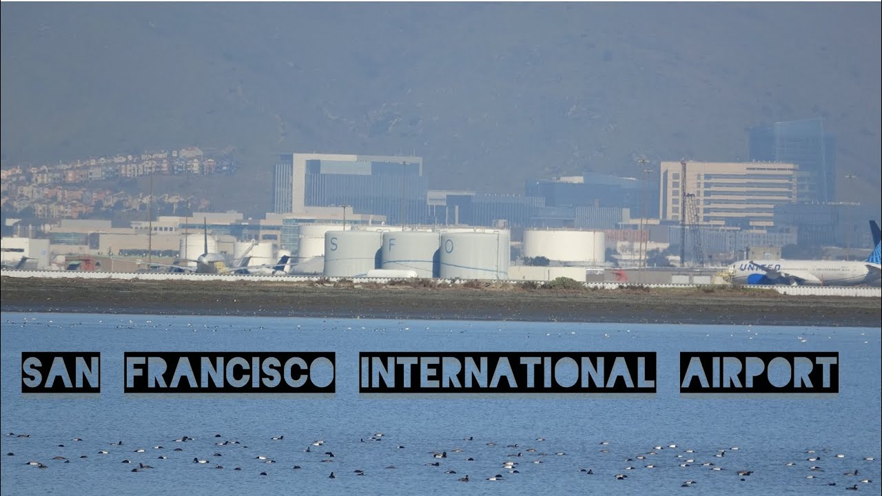 Aeropuerto De San Francisco, Enero 2026